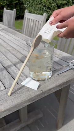 Thumbnail instructievideo gebruik van aaltjes tegen rouwvliegen