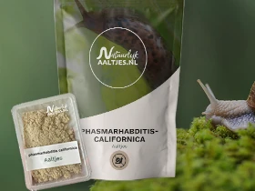 Phasmarhabditis californica - Aaltjes tegen naakslakken